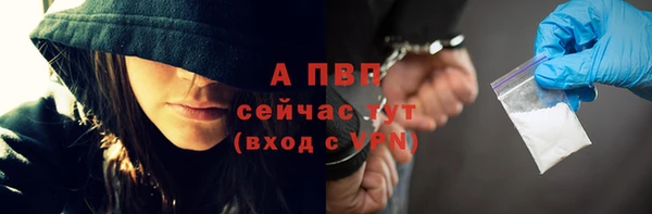 ешки Белокуриха